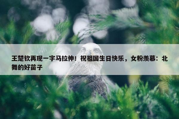 王楚钦再现一字马拉伸！祝祖国生日快乐，女粉羡慕：北舞的好苗子