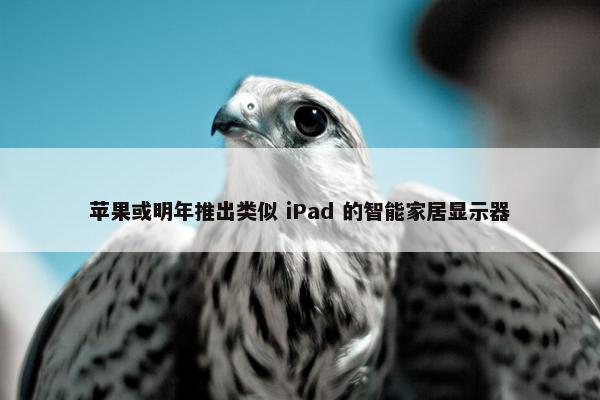 苹果或明年推出类似 iPad 的智能家居显示器