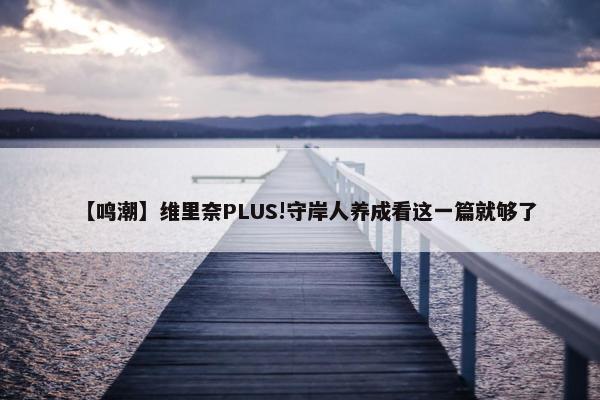 【鸣潮】维里奈PLUS!守岸人养成看这一篇就够了