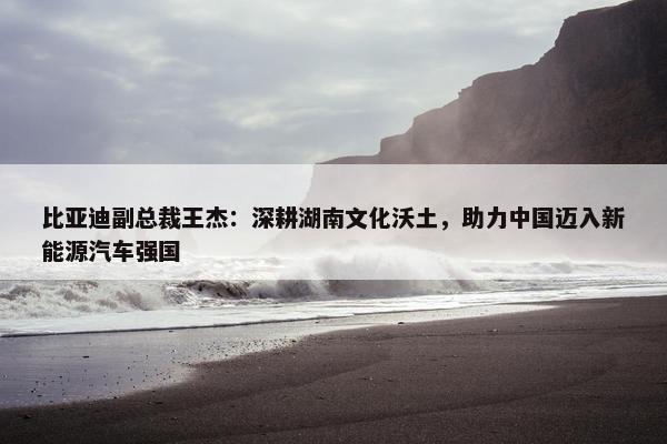 比亚迪副总裁王杰：深耕湖南文化沃土，助力中国迈入新能源汽车强国