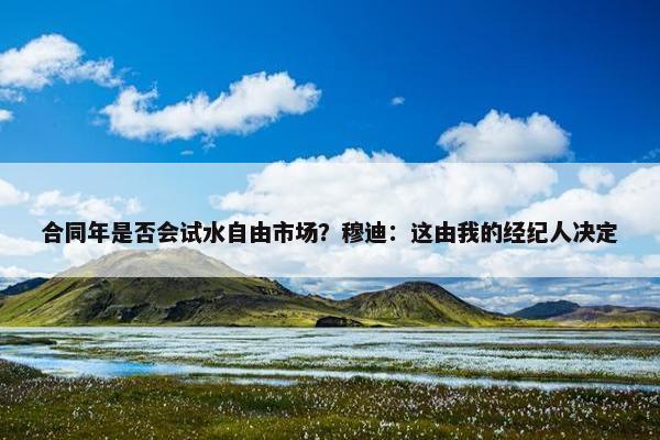 合同年是否会试水自由市场？穆迪：这由我的经纪人决定