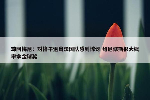 琼阿梅尼：对格子退出法国队感到惊讶 维尼修斯很大概率拿金球奖