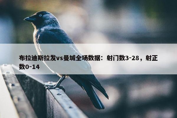 布拉迪斯拉发vs曼城全场数据：射门数3-28，射正数0-14