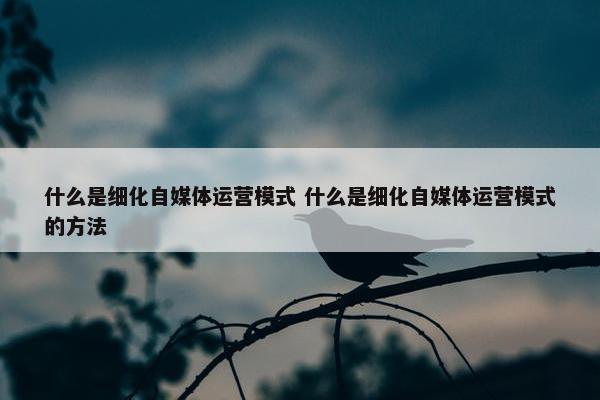 什么是细化自媒体运营模式 什么是细化自媒体运营模式的方法