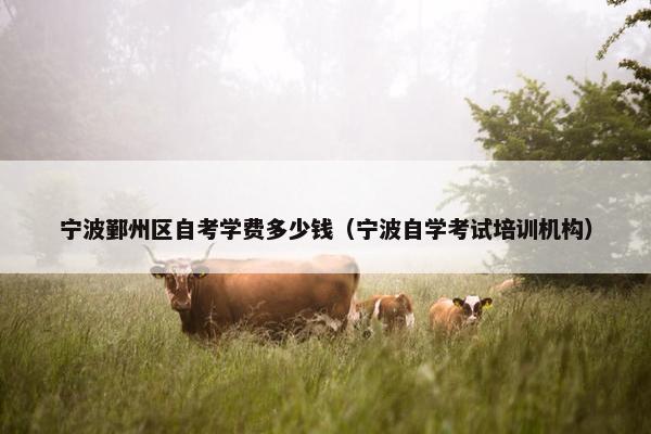 宁波鄞州区自考学费多少钱（宁波自学考试培训机构）