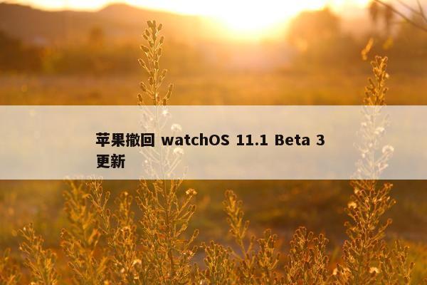 苹果撤回 watchOS 11.1 Beta 3 更新