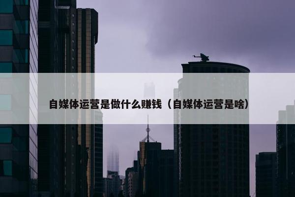 自媒体运营是做什么赚钱（自媒体运营是啥）