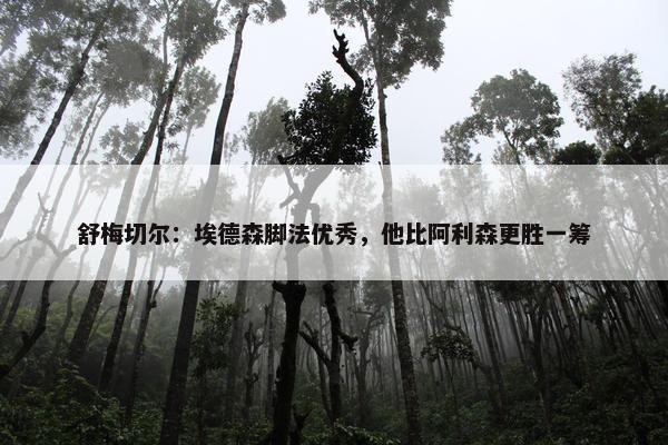 舒梅切尔：埃德森脚法优秀，他比阿利森更胜一筹