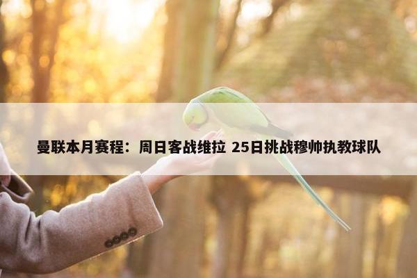 曼联本月赛程：周日客战维拉 25日挑战穆帅执教球队