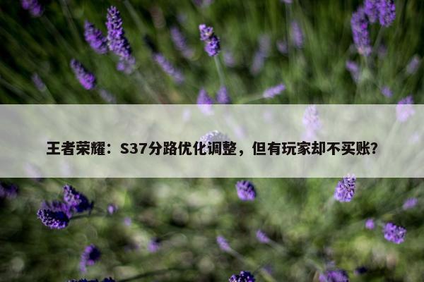 王者荣耀：S37分路优化调整，但有玩家却不买账？