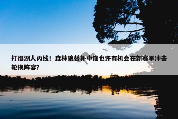 打爆湖人内线！森林狼替补中锋也许有机会在新赛季冲击轮换阵容？