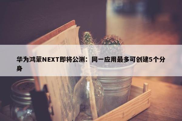 华为鸿蒙NEXT即将公测：同一应用最多可创建5个分身