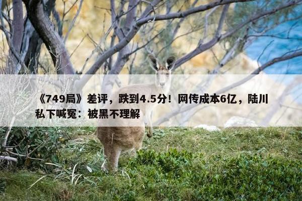 《749局》差评，跌到4.5分！网传成本6亿，陆川私下喊冤：被黑不理解