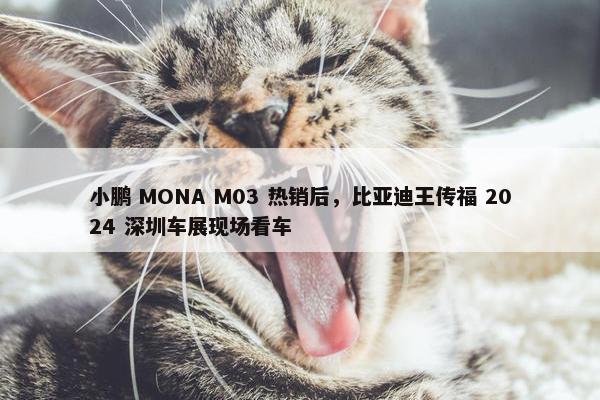 小鹏 MONA M03 热销后，比亚迪王传福 2024 深圳车展现场看车