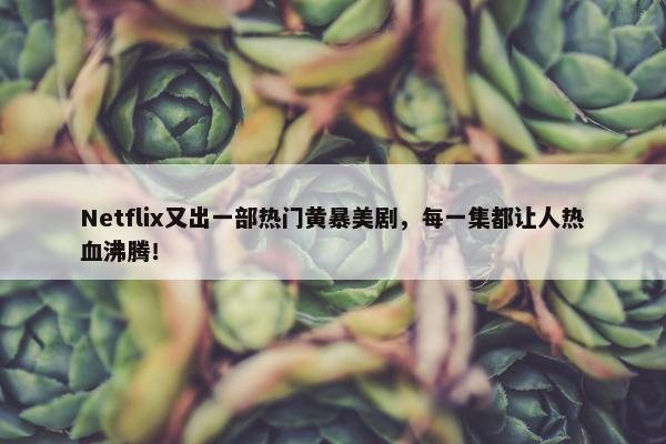 Netflix又出一部热门黄暴美剧，每一集都让人热血沸腾！