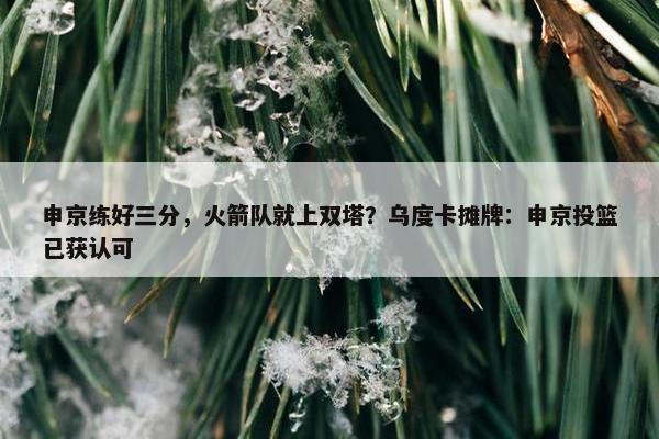 申京练好三分，火箭队就上双塔？乌度卡摊牌：申京投篮已获认可