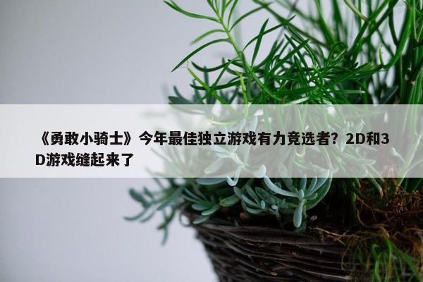 《勇敢小骑士》今年最佳独立游戏有力竞选者？2D和3D游戏缝起来了