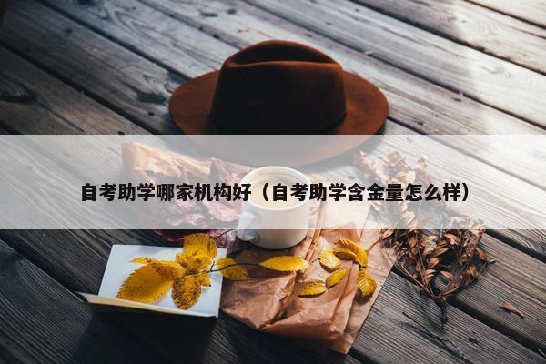 自考助学哪家机构好（自考助学含金量怎么样）