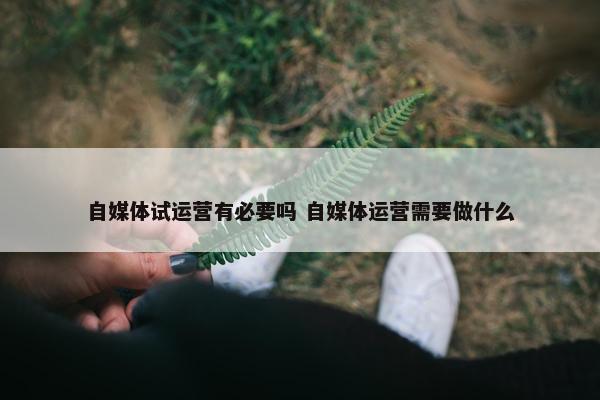 自媒体试运营有必要吗 自媒体运营需要做什么