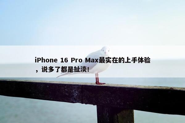 iPhone 16 Pro Max最实在的上手体验，说多了都是扯淡！