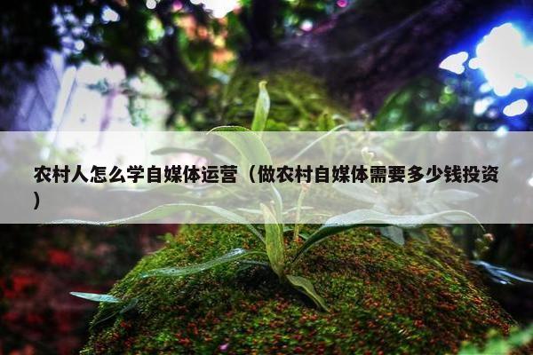 农村人怎么学自媒体运营（做农村自媒体需要多少钱投资）