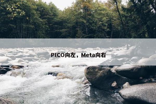 PICO向左，Meta向右