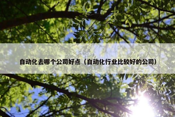 自动化去哪个公司好点（自动化行业比较好的公司）