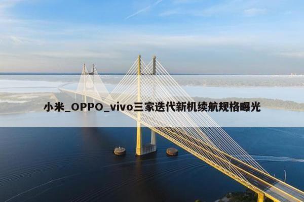 小米_OPPO_vivo三家迭代新机续航规格曝光