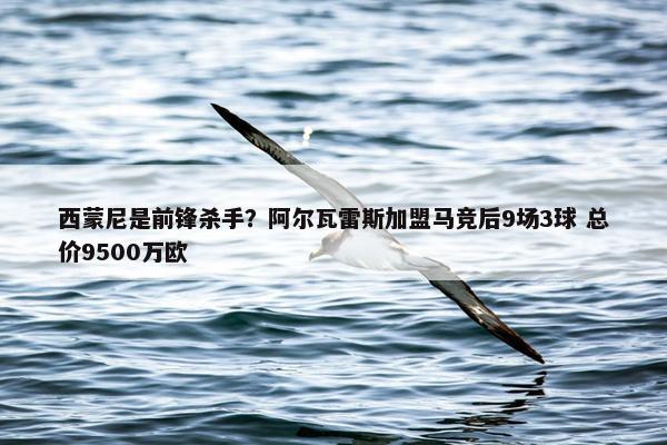 西蒙尼是前锋杀手？阿尔瓦雷斯加盟马竞后9场3球 总价9500万欧