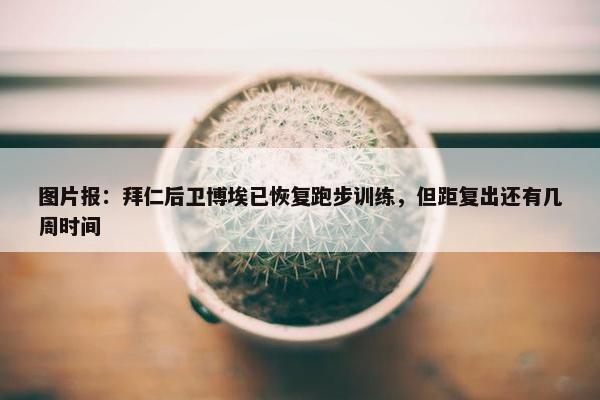 图片报：拜仁后卫博埃已恢复跑步训练，但距复出还有几周时间