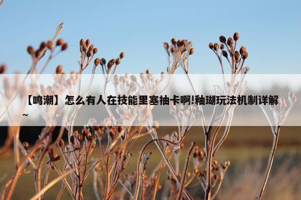 【鸣潮】怎么有人在技能里塞抽卡啊!釉瑚玩法机制详解~