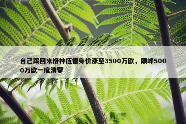 自己踢回来格林伍德身价涨至3500万欧，巅峰5000万欧一度清零