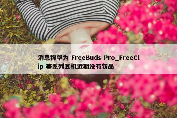 消息称华为 FreeBuds Pro_FreeClip 等系列耳机近期没有新品