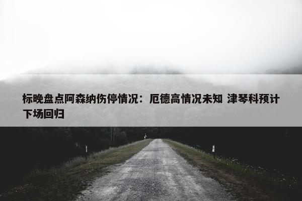 标晚盘点阿森纳伤停情况：厄德高情况未知 津琴科预计下场回归