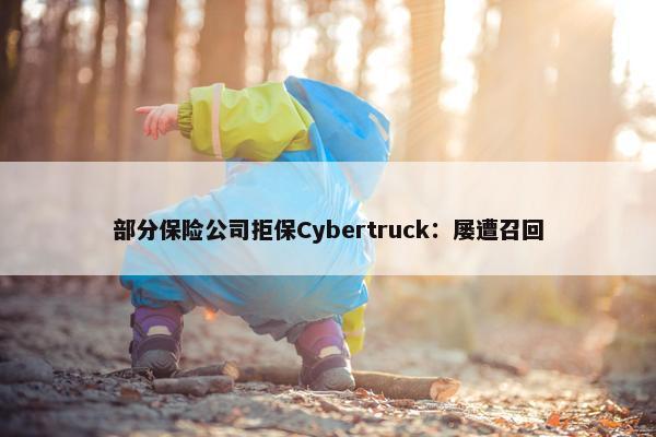 部分保险公司拒保Cybertruck：屡遭召回