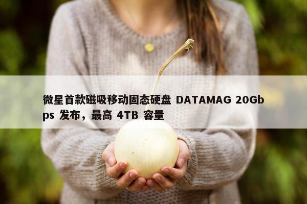 微星首款磁吸移动固态硬盘 DATAMAG 20Gbps 发布，最高 4TB 容量