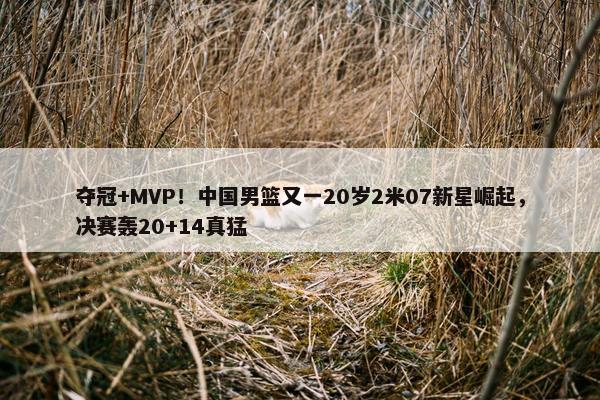 夺冠+MVP！中国男篮又一20岁2米07新星崛起，决赛轰20+14真猛