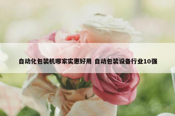 自动化包装机哪家实惠好用 自动包装设备行业10强