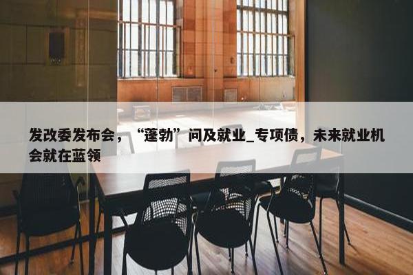 发改委发布会，“蓬勃”问及就业_专项债，未来就业机会就在蓝领