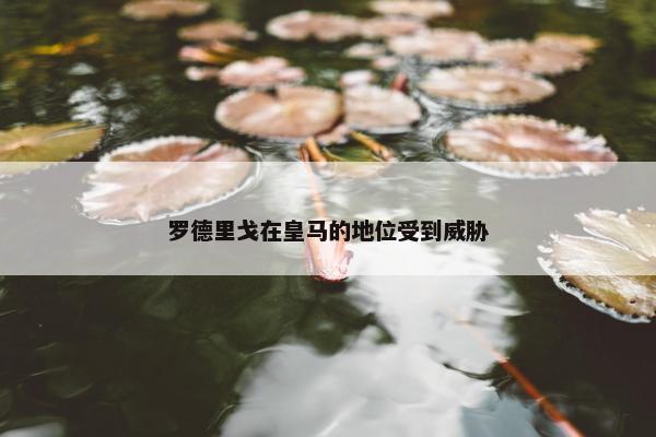 罗德里戈在皇马的地位受到威胁