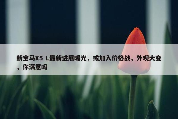 新宝马X5 L最新进展曝光，或加入价格战，外观大变，你满意吗