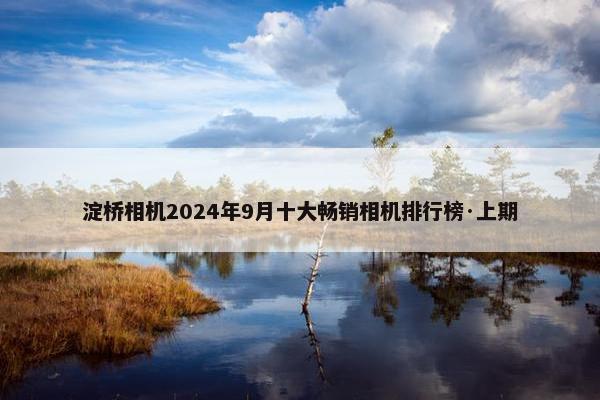 淀桥相机2024年9月十大畅销相机排行榜·上期