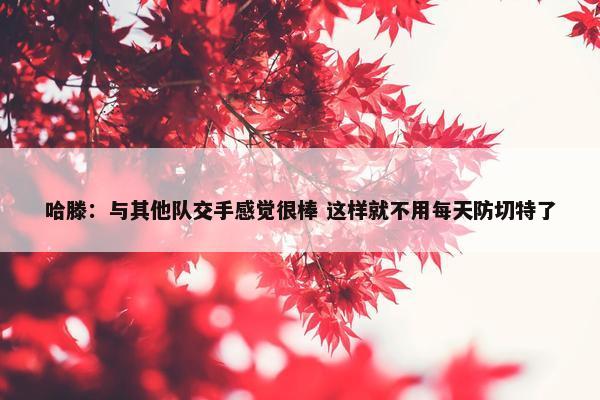 哈滕：与其他队交手感觉很棒 这样就不用每天防切特了