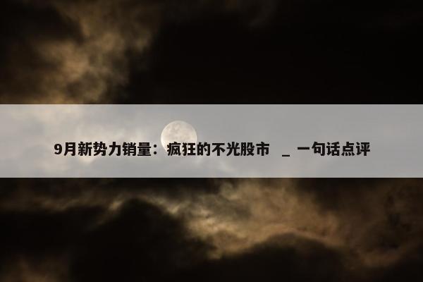 9月新势力销量：疯狂的不光股市  _ 一句话点评