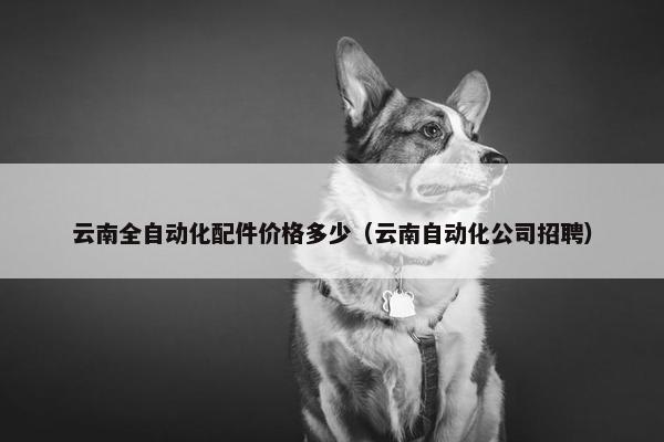 云南全自动化配件价格多少（云南自动化公司招聘）