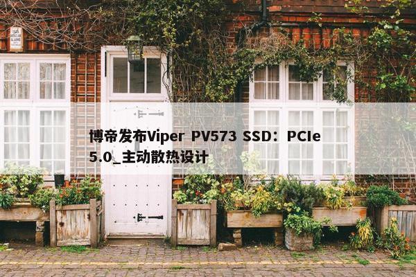 博帝发布Viper PV573 SSD：PCIe 5.0_主动散热设计