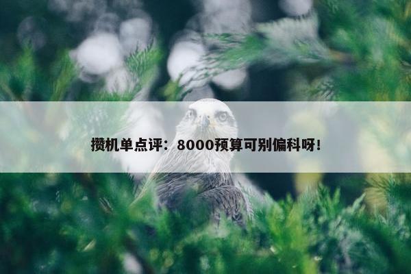 攒机单点评：8000预算可别偏科呀！