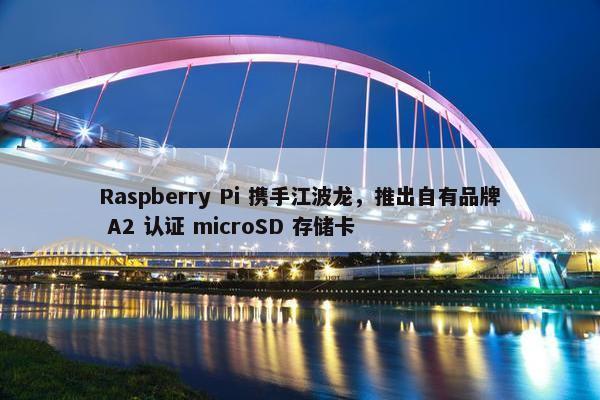 Raspberry Pi 携手江波龙，推出自有品牌 A2 认证 microSD 存储卡