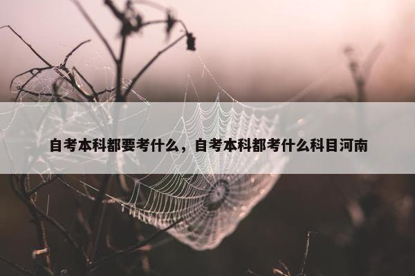 自考本科都要考什么，自考本科都考什么科目河南