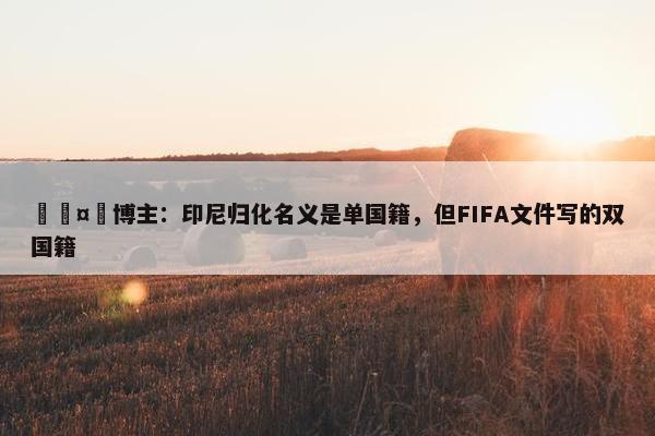 🤯博主：印尼归化名义是单国籍，但FIFA文件写的双国籍